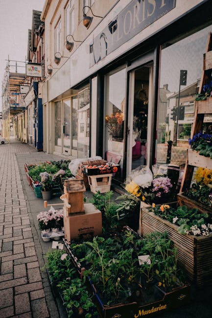 The image depicts a flower shop on Plaistow High Street showing an outdoor display of colorful potted plants and fresh flowers arranged on wooden crates and metal tubs, with vibrant blooms including p